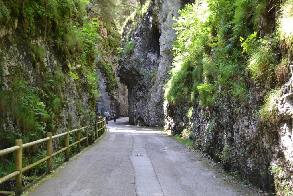 Casa Al Moro Apartment Rocca Pietore Luaran gambar